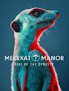 Meerkat Manor: Rise of the Dynasty