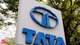 Tata International to nearly double production of sustainable leather in next four years - The Economic Times