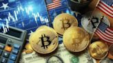 US Spot Bitcoin ETFs Soar with $17B Inflows in 2024 – What’s Driving the Surge? - EconoTimes