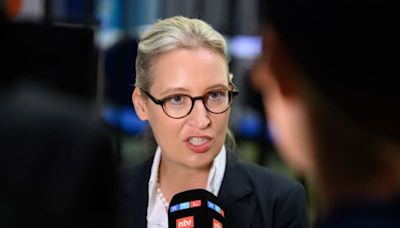 AfD forms new group in European Parliament