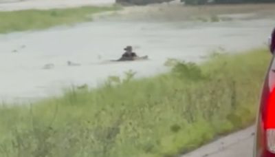 Person swims across median of flooded Illinois highway as heavy rain causes road closures