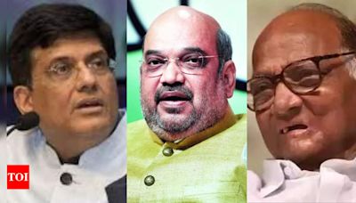 Sharad Pawar should apologize to Amit Shah for statement: Piyush Goyal | Mumbai News - Times of India