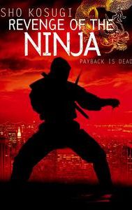 Revenge of the Ninja