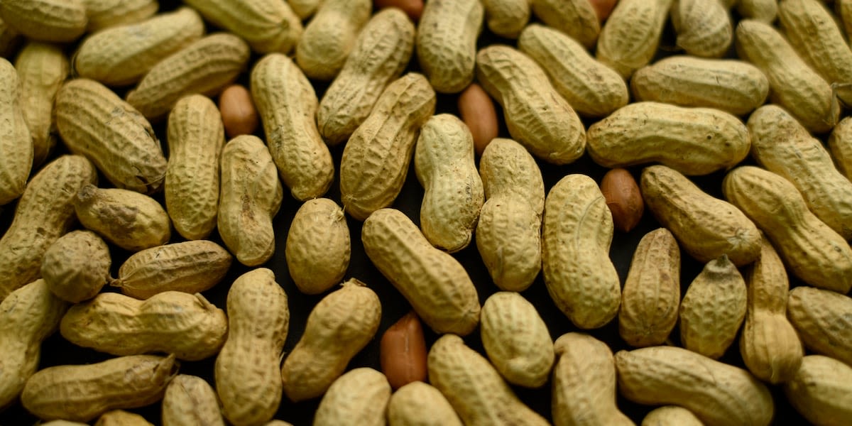 Some Planters nuts recalled over listeria concern