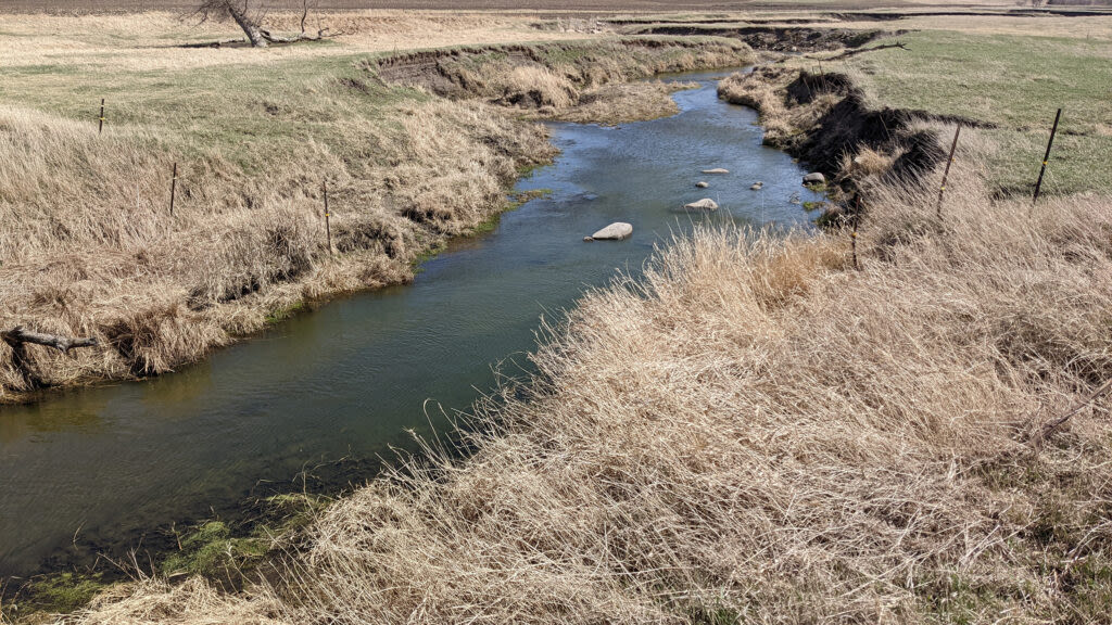 Farm field drainage failure leads to creek contamination, dead fish