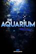 The Aquarium