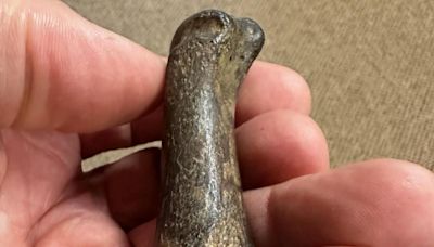 Mississippi man finds 10,000-year-old saber-toothed tiger fossil