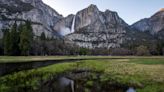 Heading to Yosemite next summer? Better get a reservation