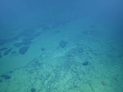 學者：海底發現多金屬結核 或產生「暗氧」有助生態系統
