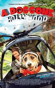 A Doggone Hollywood