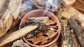 Palo Santo: cómo y cuándo hacer el ritual de limpieza en el hogar