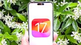 iOS 17 has a killer new camera shortcut for your iPhone — here's how to turn it on