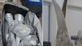 South African gets 24 months' jail for largest rhino horn seizure in Singapore's history, with total worth of S$1.2m