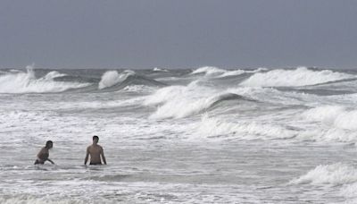 14-Year-Old Boy Dives into the Water – and Gets Bitten After Landing on a Shark