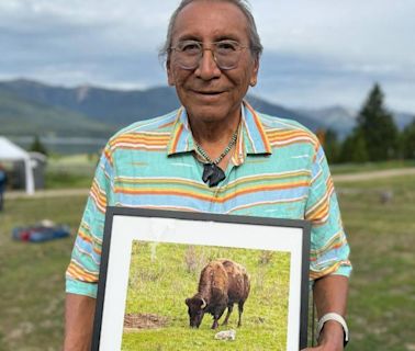 Sacred buffalo calf offers hope amid efforts to revive species