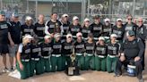 Domination: Jackson repeats as 4A state softball champion | HeraldNet.com