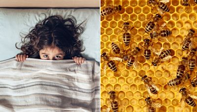 North Carolina child says she hears 'monsters' in the wall, turns out to be 50K buzzing bees