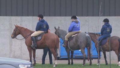 MPD pulls horses from Midwest Horse Fair after equine virus found in WI