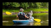 Take Your Pup On Aquatic Adventures With The Best Kayaks For Dogs