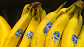 Experts link Chiquita’s guilty verdict to a ‘history stained with blood & impunity’