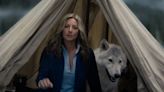 Busch Light spoofs Sarah McLachlan’s animal cruelty campaign in new Super Bowl ad
