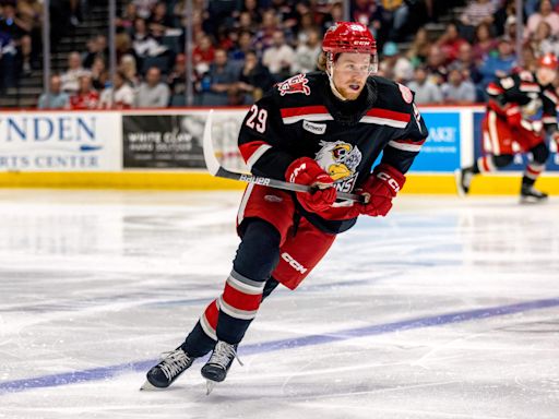 Which Red Wings prospects are standing out in AHL playoffs?