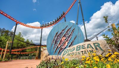 Dollywood beats out Disneyland, Universal, as 'Top Global Attraction people most want to return to'