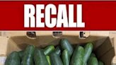 Cucumbers recalled due to possible Salmonella contamination