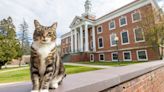 Ronroneos académicos: Max, el gato que se graduó del doctorado en Literatura