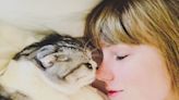 Taylor Swift's Cutest Photos with Her Cats, Benjamin Button, Olivia and Meredith