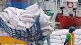 Rice imports hit 1.6 million MT in early May - BusinessWorld Online