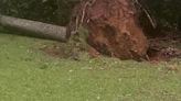 PHOTOS: Strong storms move through central Alabama