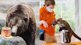 Learn all about animal feeding, training at John Ball Zoo with Daily Animal Programs