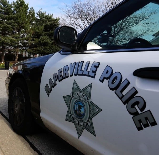 Naperville 19-year-old charged with breaking into car and house on Blakely Lane, police say