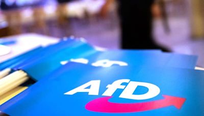 German court rules that members of far-right AfD cannot own firearms