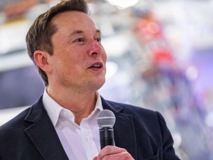 ¿Elon Musk al poder?: Donald Trump reveló el rol clave que puede asumir el gurú tecnológico en un nuevo gobierno suyo