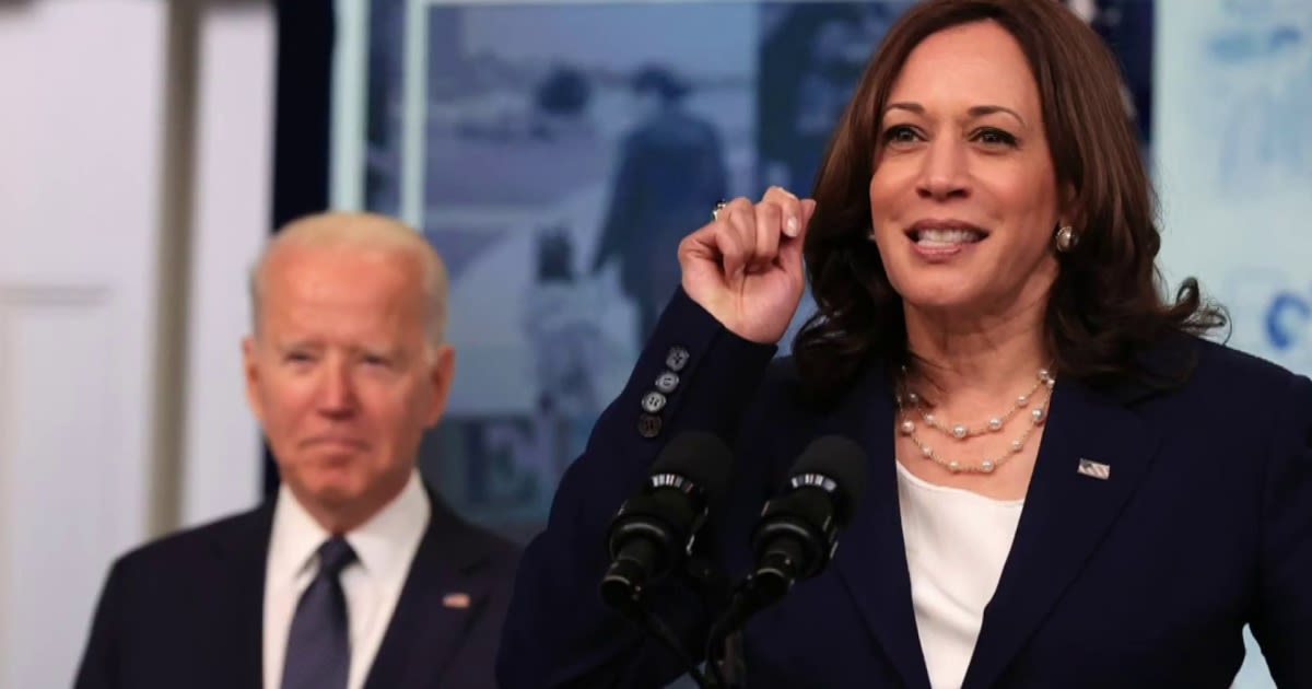 David Plouffe: Kamala Harris has to introduce herself to the nation