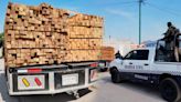 Decomisa Guardia Civil 580 tablas de madera de pino, en Hidalgo