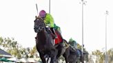 Emerald Downs opens its 2024 horse racing season Saturday | HeraldNet.com