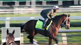 Post positions, morning-line odds set for 2024 Kentucky Derby