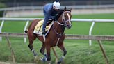 The updated Preakness Stakes field and post positions after the race favorite is scratched