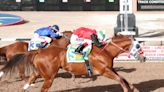 Flash Bak wins Grade 1, 440-yard The Championship at Sunland Park