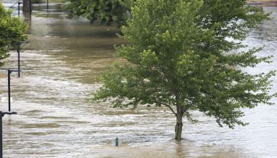 Heavy rains flooding Harris Park? Amid climate change, get used to it