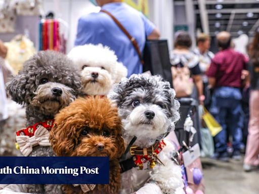 Hong Kong watchdog warns pet owners to be wary of animal boarding services