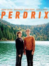 Perdrix