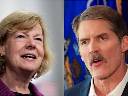 Baldwin leads Hovde by 12 points in Wisconsin Senate race: Poll