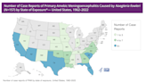 'Brain-eating amoeba' cases peak in the summer: What to know about Naegleria fowleri symptoms