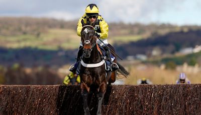 Two-time Cheltenham Festival winner Shishkin dies after freak stable accident