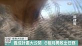 急難救星拯救受困者 菲律賓搜救犬養成計畫