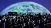COP27 - Corporate climate pledges rife with greenwashing - U.N. expert group